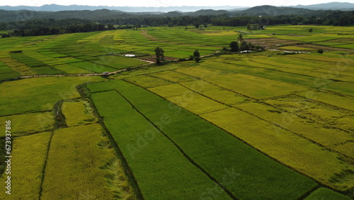 Corn Garden and Paddy field and Hut in Pong Distric Phayao Province,Northern of Thailand, Relaxing Vacation on Winter Season November 2023