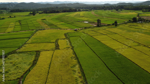 Corn Garden and Paddy field and Hut in Pong Distric Phayao Province,Northern of Thailand, Relaxing Vacation on Winter Season November 2023