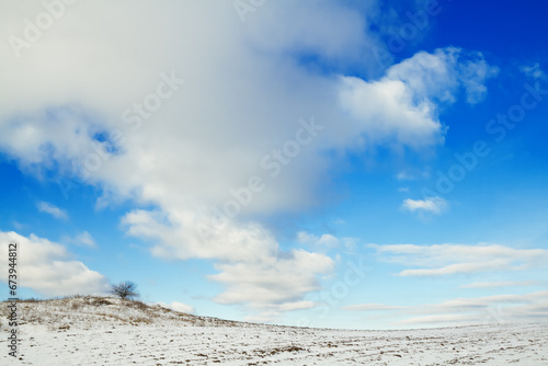 silhouette of lonely tree on the hill in Poland  Europe on sunny day in winter  amazing clouds in blue sky