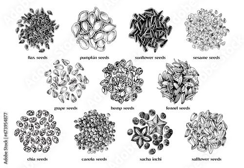 edible seeds hand drawn collection