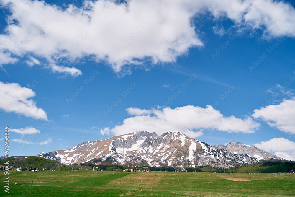 Green pasture at the foot of a mountain range covered with snow