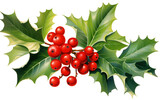 Fresh Cluster of Holly Green Leaves and Bright Red Berries Isolated on Transparent Background PNG.