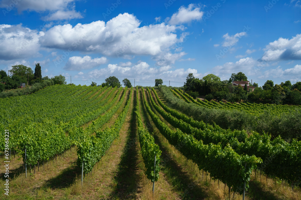 Obraz premium Rural landscape in Tuscany near Pitigliano