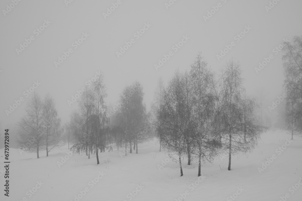 A snowy and foggy day of rural Toten, Norway, in November. A snowy and foggy day of rural Toten, Norway, in November.