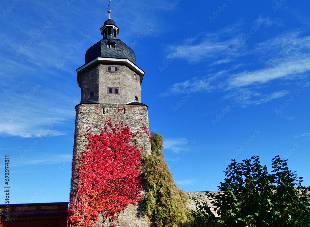 Turm mit Weinlaub