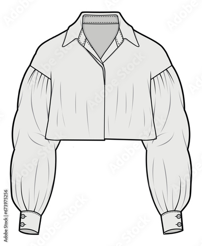 Bishop Sleeve Collared Crop Shirt Top Fashion Illustration, Vector, CAD, Technical Drawing, Flat Drawing, Template, Mockup