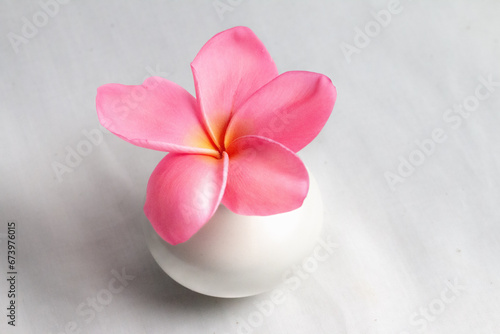 pink frangipani in white small vase