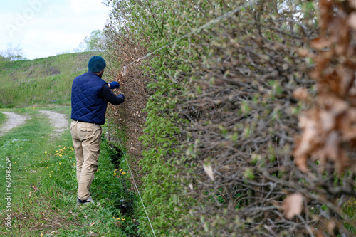 A male gardener trims a hedge in early spring, leveling it with stretched laces