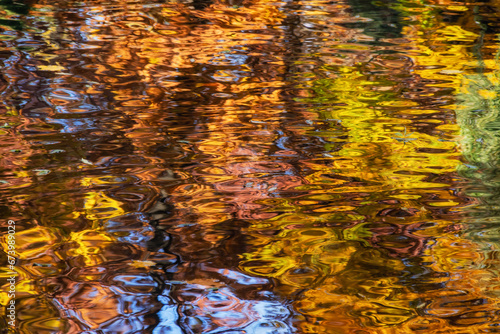 Odbicie kolorowych jesiennych liści w wodzie jeziora, Podlasie, Polska