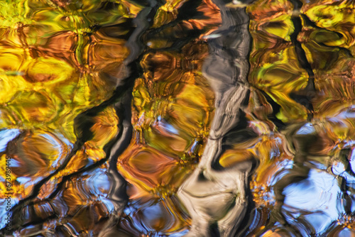 Odbicie kolorowych jesiennych liści w wodzie jeziora, Podlasie, Polska