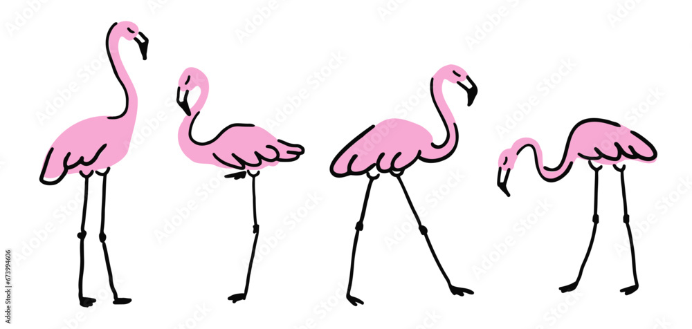 Obraz premium Set with pink flamingo isolated on white background, exotic birds
