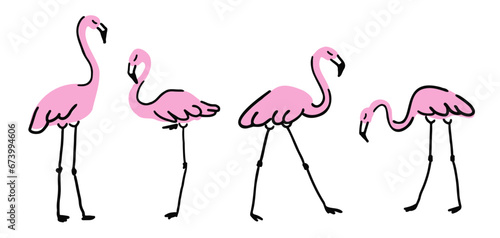 Set with pink flamingo isolated on white background, exotic birds