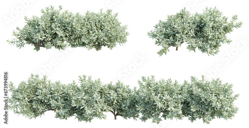 set of shrubs 3D rendering with transparent background  for illustration  digital composition  architecture visualization