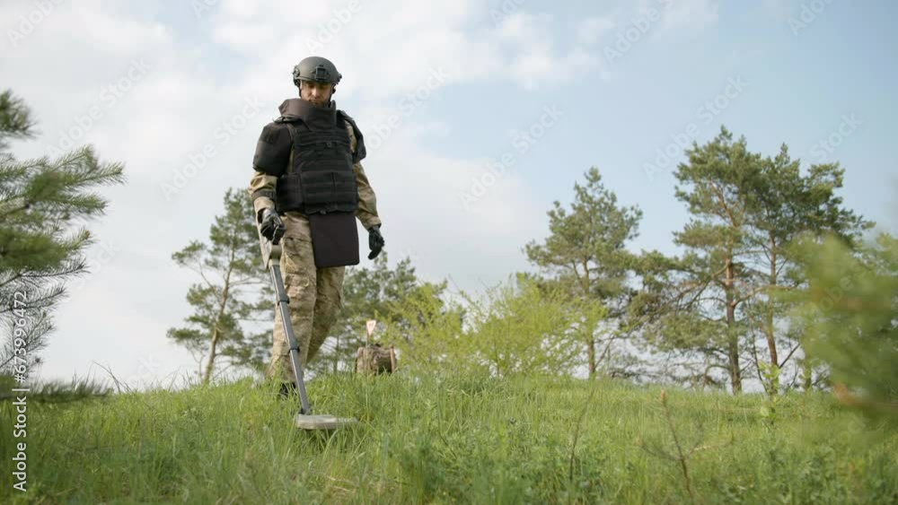 Man trying to detect mine in demining process in the grass near the pine trees Man trying to detect mine in demining process in the grass near the pine trees
