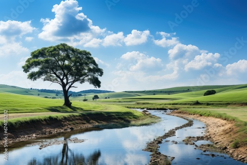 Peaceful nature landscape