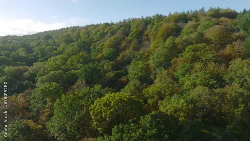 High wide shot of autumnal forest from above High wide shot of autumnal forest from above