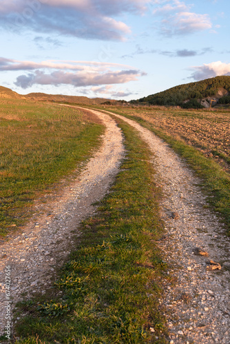 Country road at sunset. Vertical format