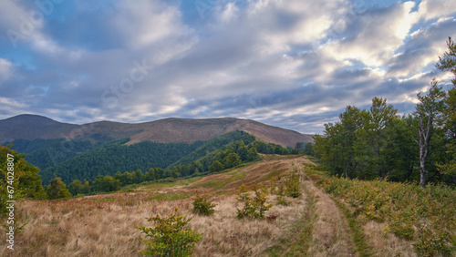 Autumn mountain landscape in the Ukrainian Carpathians. A grassy dirt road stretches towards a mountain ridge