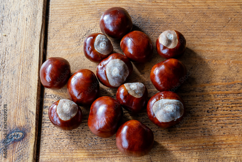 Obraz premium A collection of horse chestnuts on a table.