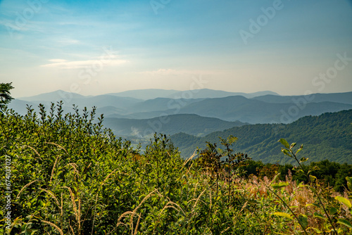 A mountain range in the Bieszczady Mountains in the area of Tarnica, Halicz and Rozsypaniec.