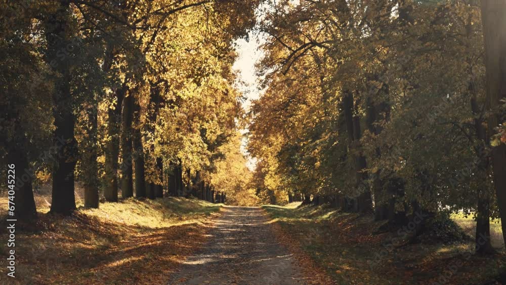 Beautiful landscape of rural road in autumn, in Lower Silesia, Poland Beautiful landscape of rural road in autumn, in Lower Silesia, Poland