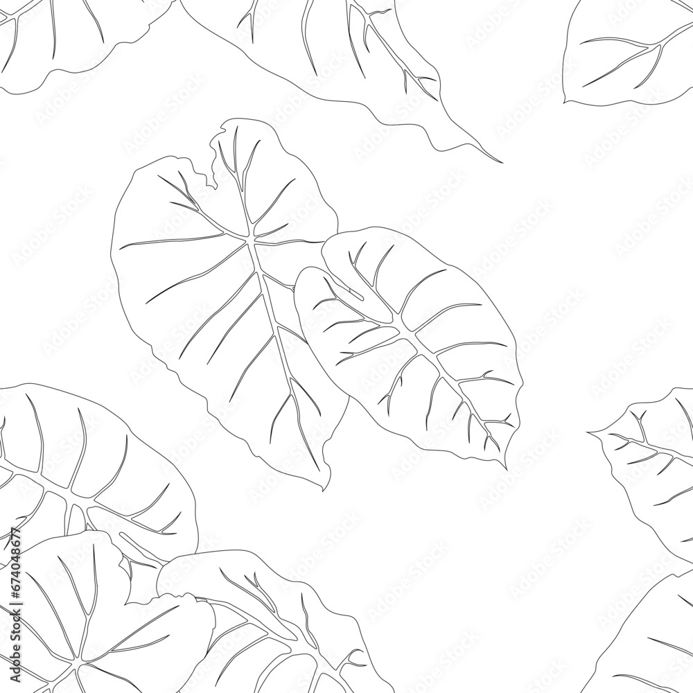 Colocasia leaves pattern line art for decorate your designs with tropical illustration isolated on white background