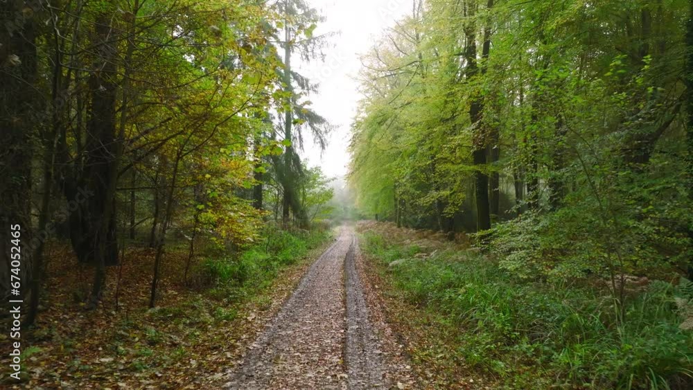 Low slow drone down forest road in autumn Low slow drone down forest road in autumn