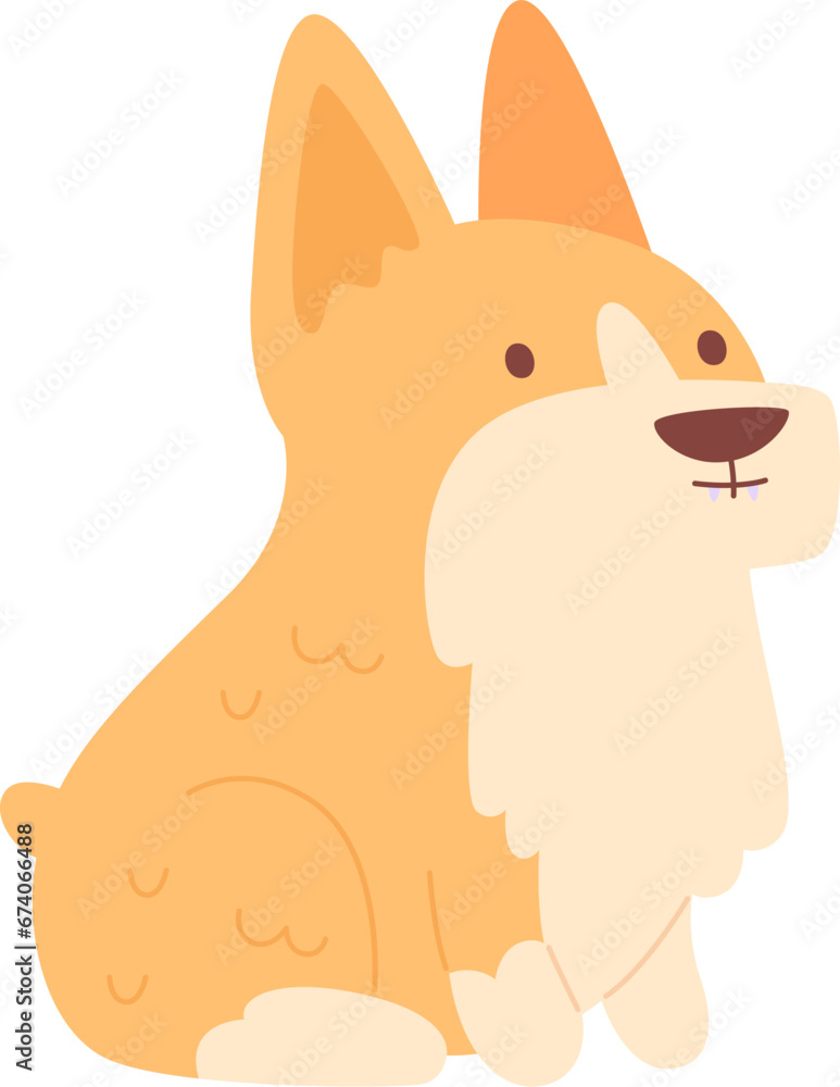 Corgi Dog Animal Corgi Dog Animal