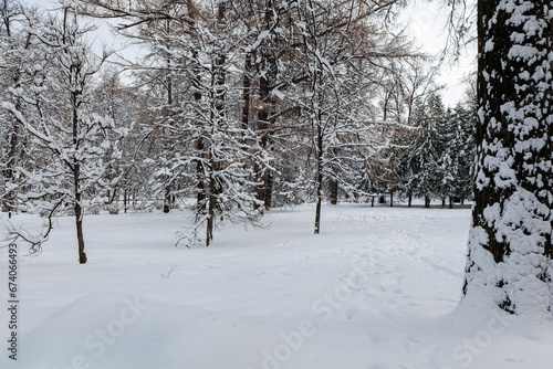 The first snowfall in the city park. White fluffy snow covered the sidewalks and trees