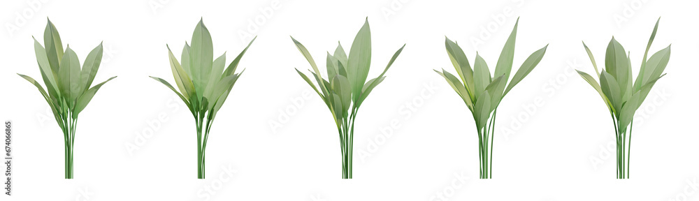 Set of banana trees, 3D rendering with transparent background
Set of banana trees, 3D rendering with transparent background
