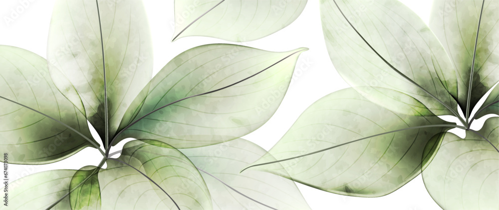Abstract art background with transparent leaves of flowers or trees in green color. Nature vector banner in watercolor style for decoration, print, textile, interior design, wallpaper