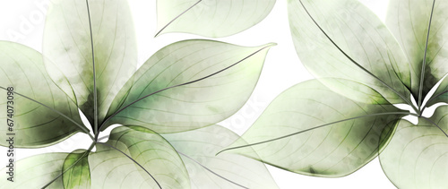 Abstract art background with transparent leaves of flowers or trees in green color. Nature vector banner in watercolor style for decoration, print, textile, interior design, wallpaper