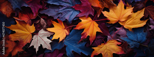 Colorful Foliage Stack with Moody Maple Leaves
