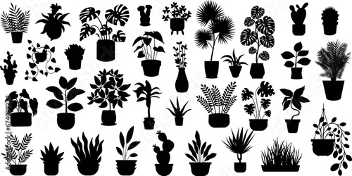 Set of different potted houseplants silhouettes. indoor flowers or plants in flowerpots or vases flat vector illustrations collection