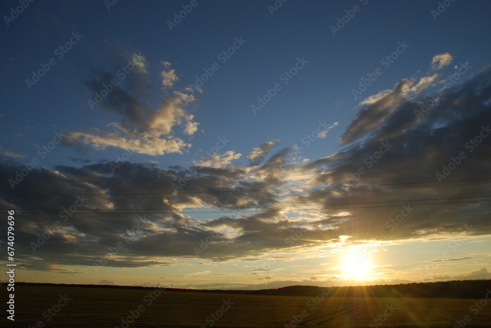 Evening sunset over the field. A wide field is sown with corn or cereals. There is a forest beyond the field. From above there is a blue sky with white-gray clouds. The sun dropped low to the horizon.