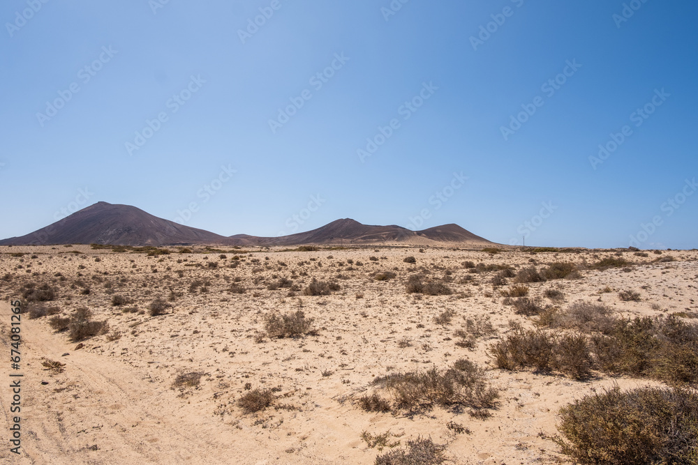 Desert landscape of white sand and desert bushes. Clear sky. Mountains in the background. Lanzarote, Canary Islands, Spain.