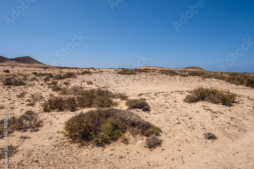 Desert landscape of white sand and desert bushes. Clear sky. Mountains in the background. Lanzarote, Canary Islands, Spain.