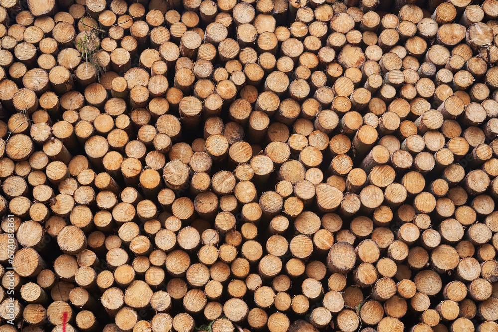 Background from freshly harwested spruce tree wood logs stacked on each other in pile close up picture. to be used as firewood in the winter season. Background from freshly harwested spruce tree wood logs stacked on each other in pile close up picture. to be used as firewood in the winter season.
