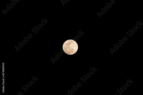 Night Moon