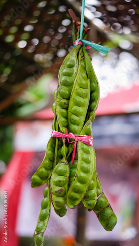 фотографія Bunch of stinky bean or petai, Asian food at traditional market.