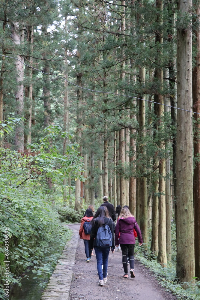 Obraz premium Forêt de Shibu Onsen - japon