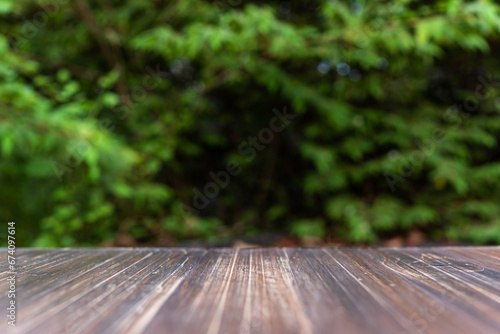 brown wood shelf on green leaves background