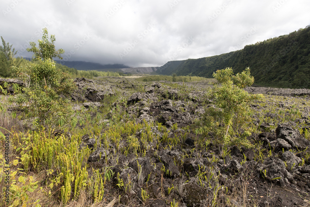 A landscape view of volcanic soil in Reunion