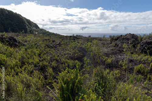 A landscape view of volcanic soil in Reunion