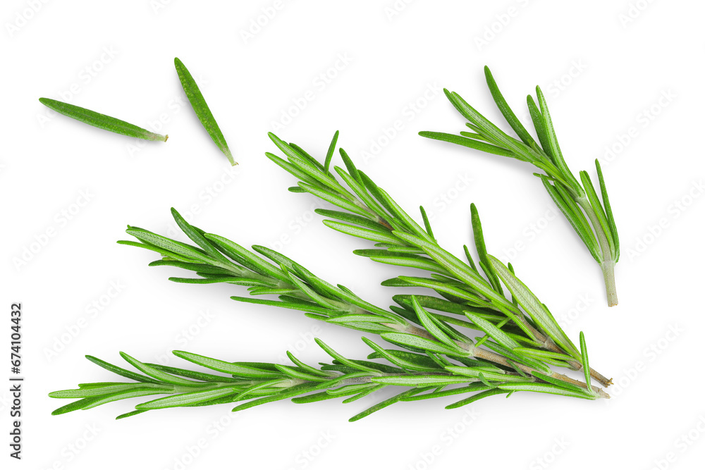 Fototapeta premium Rosemary twig and leaves isolated on white background. Top view. Flat lay