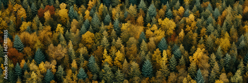 Autumn forest from bird's eye view, rendered in a pixel art style, focusing on the patterns and textures of foliage