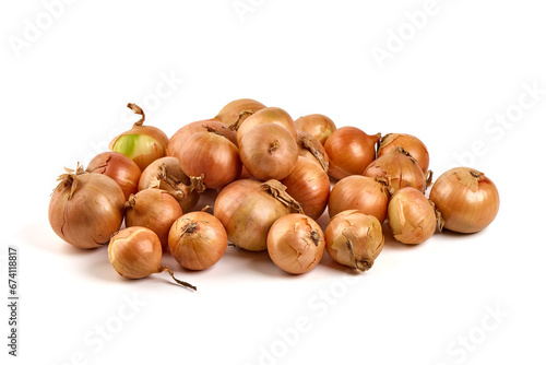 Spring onion bulbs, seeding onion, isolated on white background.