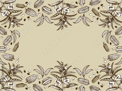 Vector horizontal plant frame with sesame leaves, seeds, seed pods.