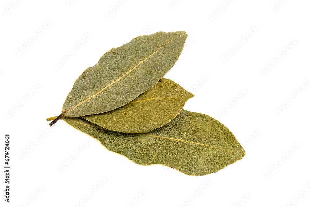 bay leaves on white isolated background