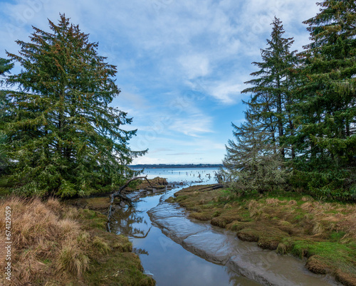 Slough along Grays Harbor Aberdeen Washington